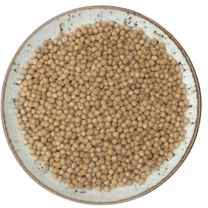 Garbanzo pedrosillano